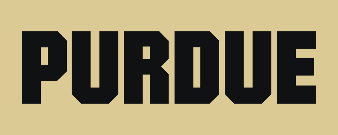 Purdue Boilermakers 2012-Pres Wordmark Logo t shirts iron on transfers v2